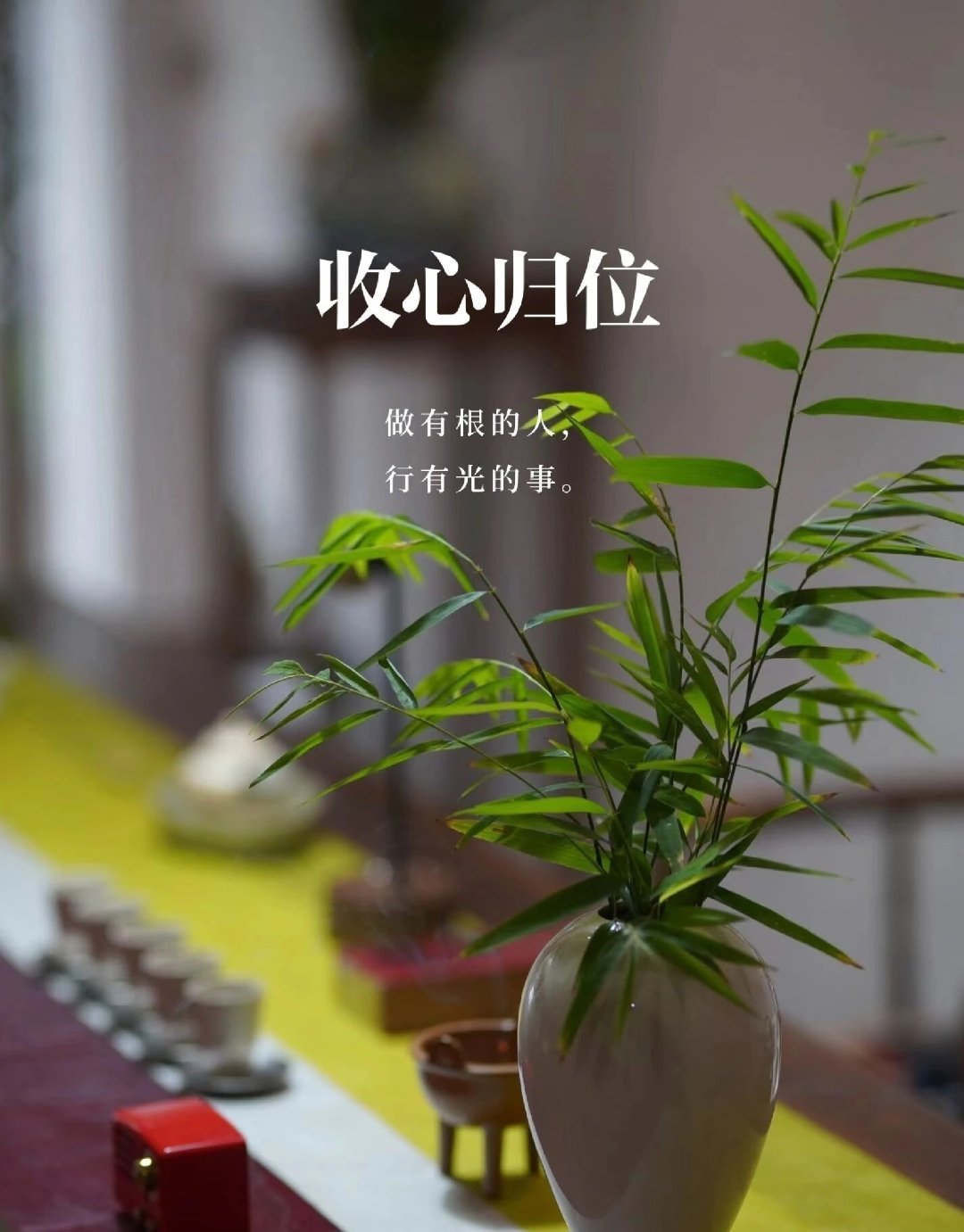 家人们，实在抱歉，最近被个人私事耽搁了几天，没能正常更新和大家一起复盘行情，跟各