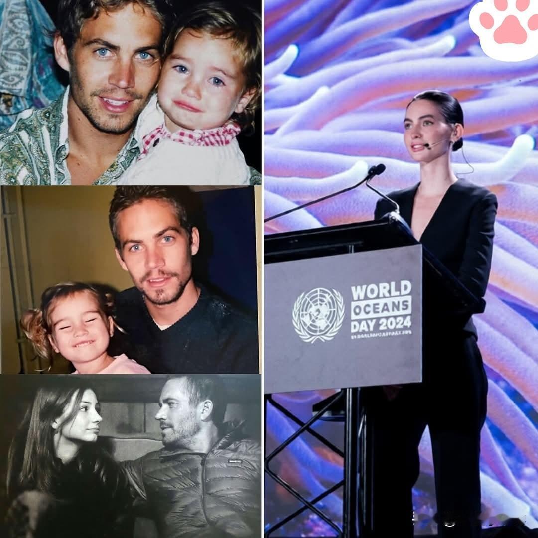 保罗会为此感到无比自豪的

梅多·沃克继续秉承父亲的遗志，通过保罗·沃克基金会每