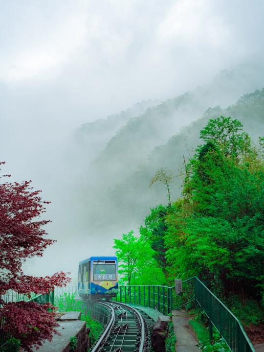 身在庐山，才真正体会到苏轼的浪漫
