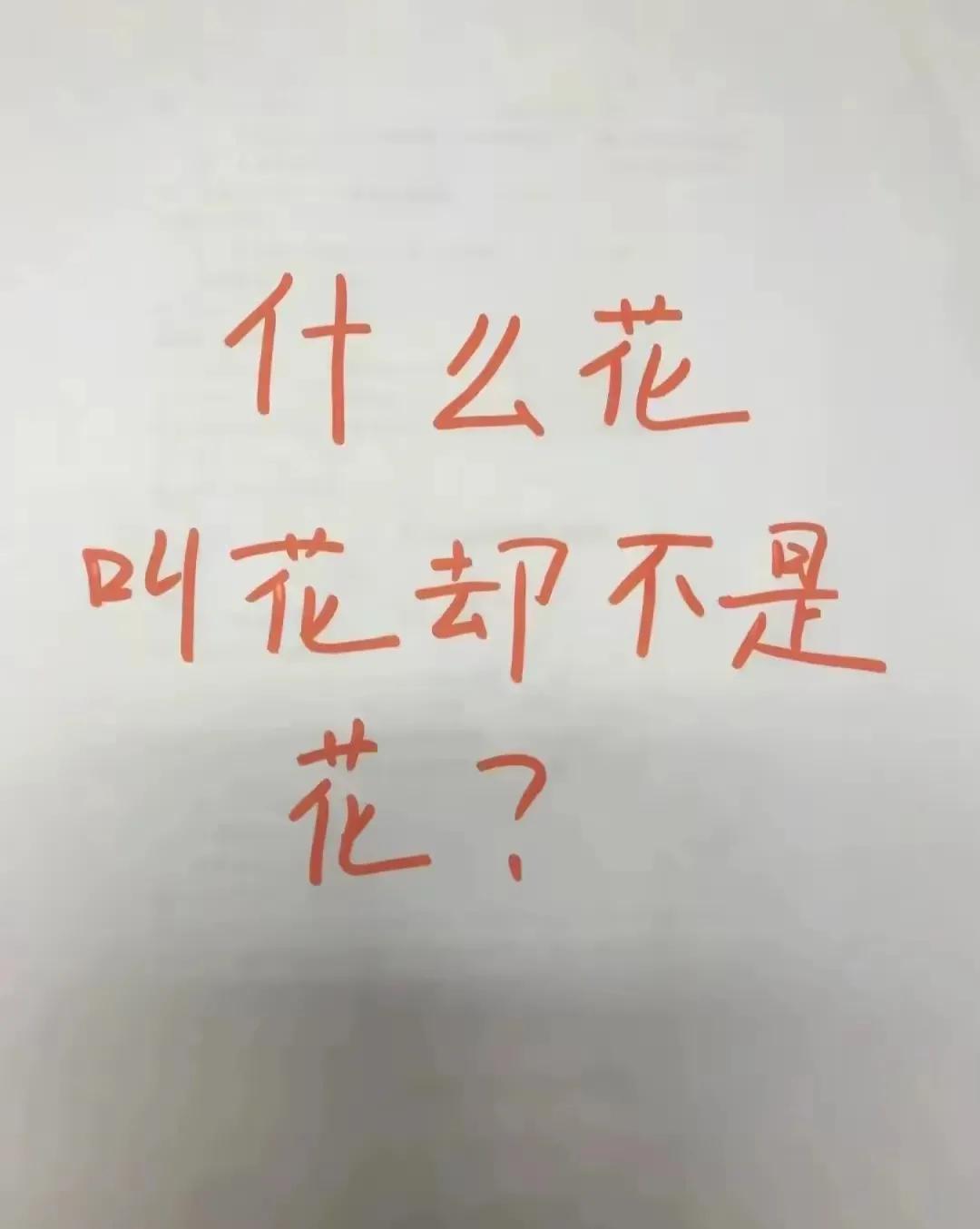 生活中总有发现，大家猜猜看？

什么花，叫花却不是花？

你们能猜到哪些？那些物