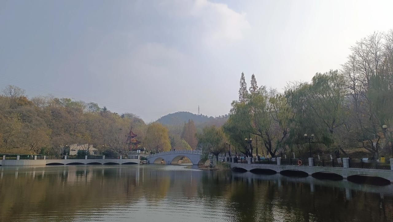 11月20日 半天的周三🧮总结：学校作业84分钟；课外阅读44分钟；家庭口头学