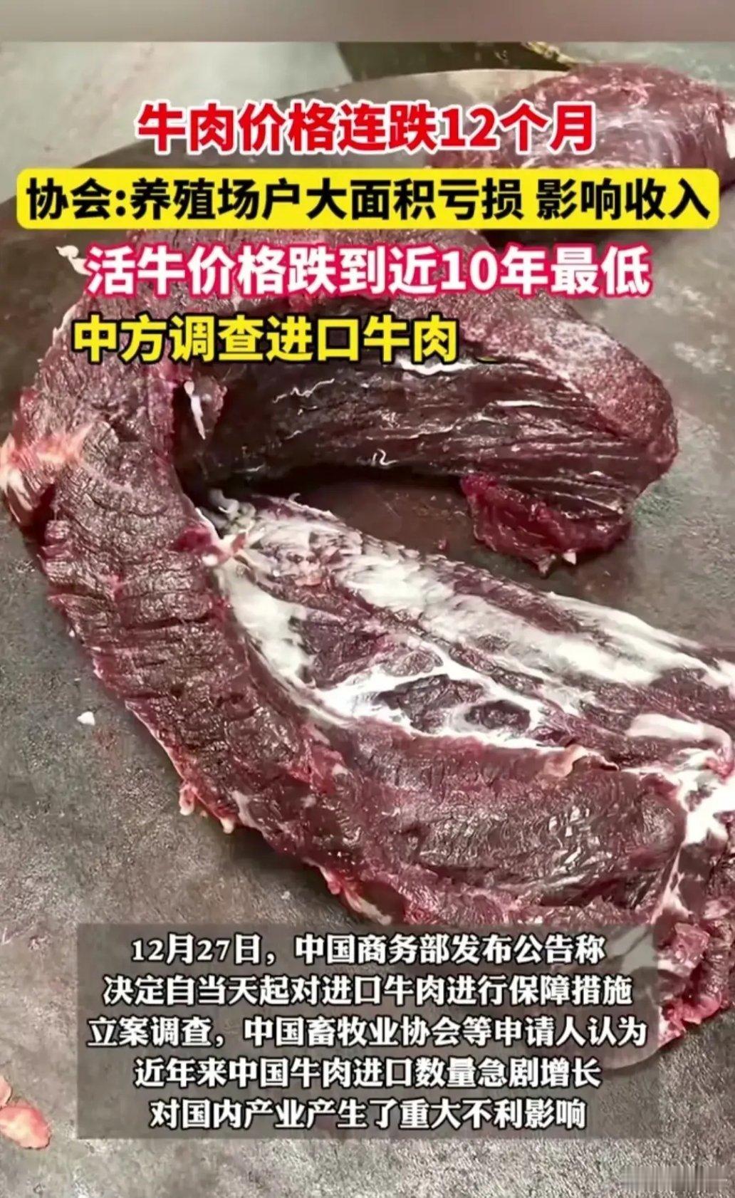 12月27日，中国商务部发布公告称，决定自当天起对进口牛肉进行保障措施立案调查。