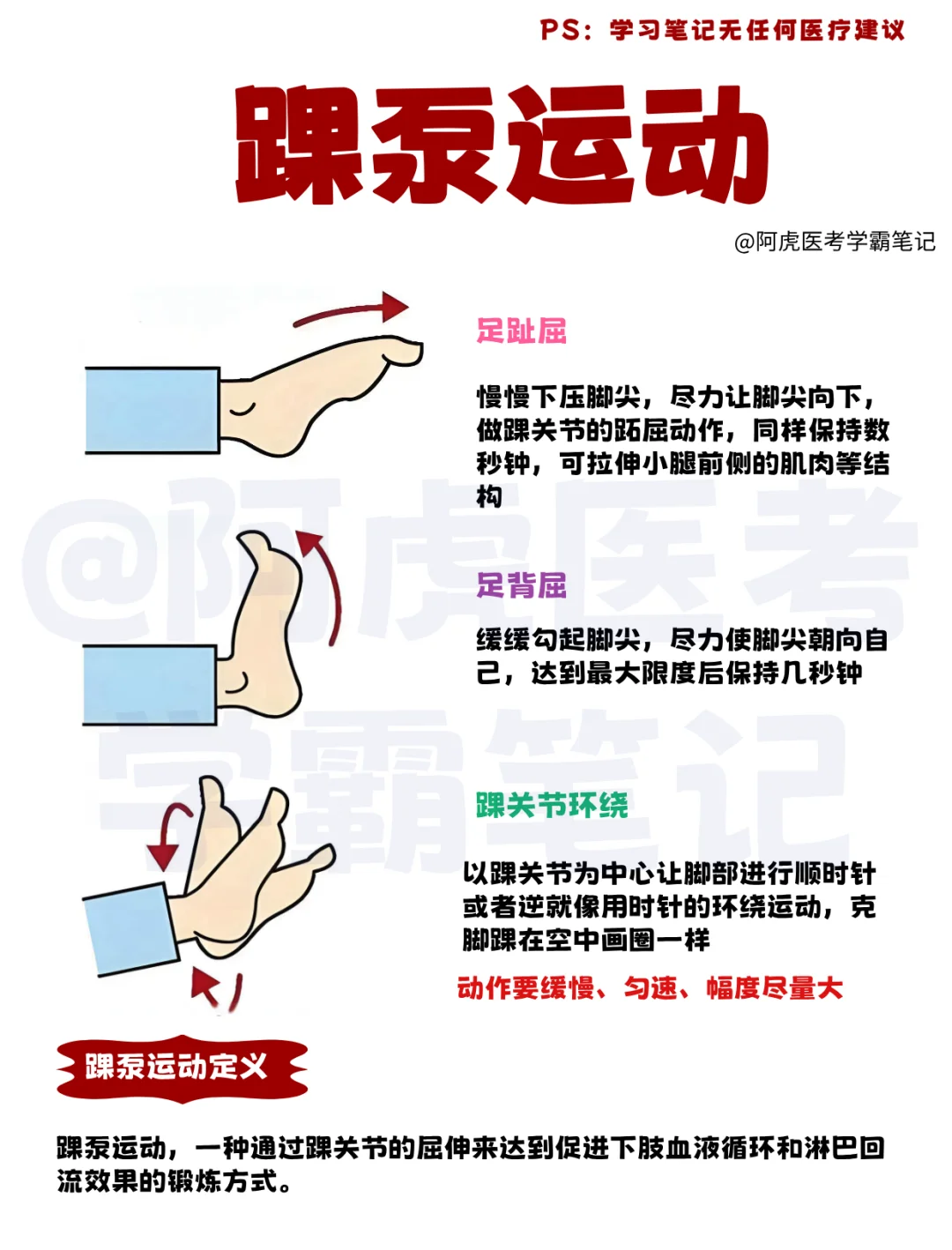医学生笔记📒：踝泵运动👆