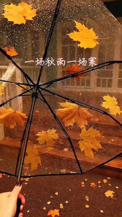 你所在城市现在有多冷 我在成都，这天气冷得真是让人措手不及。今天白天一直阴沉沉的