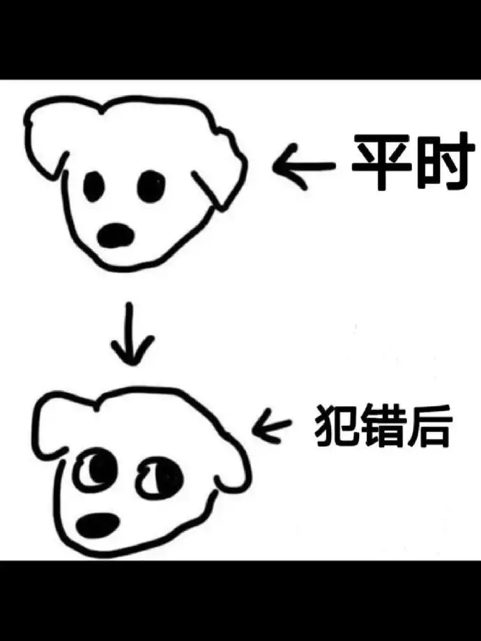 <img src=