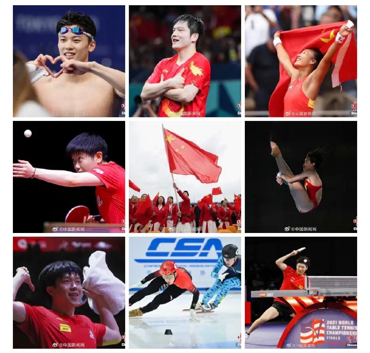 665个世界冠军乒乓球应该是最多了吧？樊振东一个人就拿了不知道多少个了十四五我国