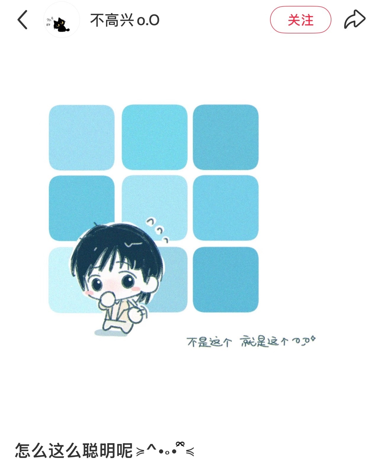 请大声的说：蒸蚌