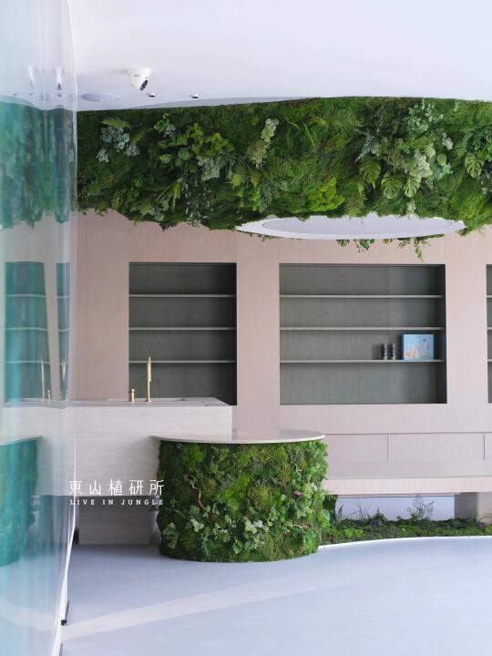 东植x溪木源 | 仿真绿植设计 办公室美学