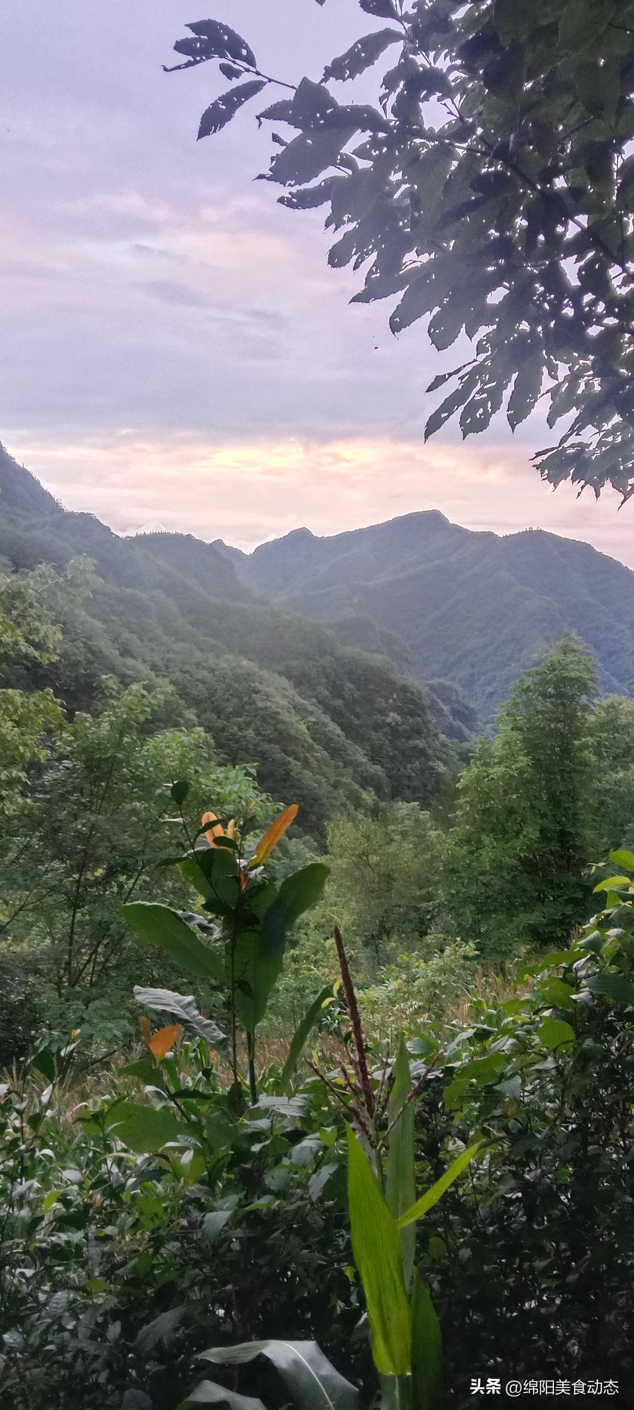 夏日生活打卡季 夏日躲进山间，清晨的体验绝了。
刚一睁眼，推开门，就被眼前景象迷