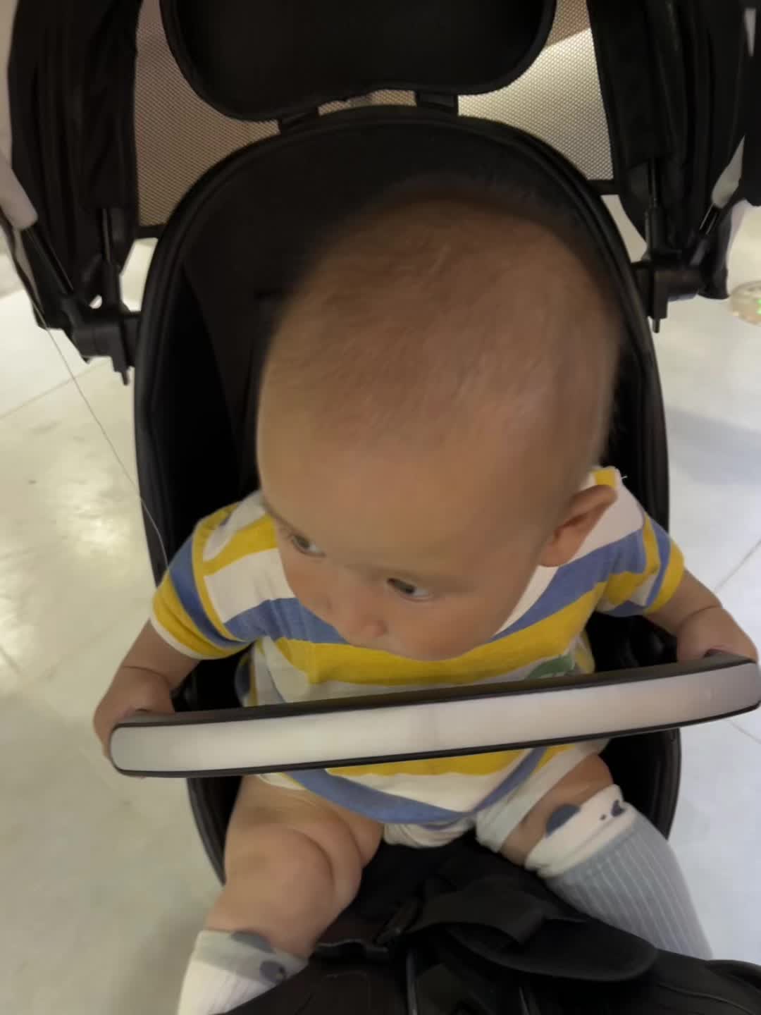 人类幼崽观察日记