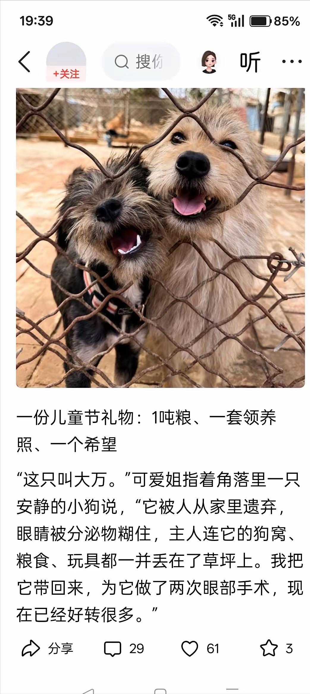 北青网翻车记：一篇“给狗过六一”的报道，到底惹了谁？

今年六一这天，互联网上炸