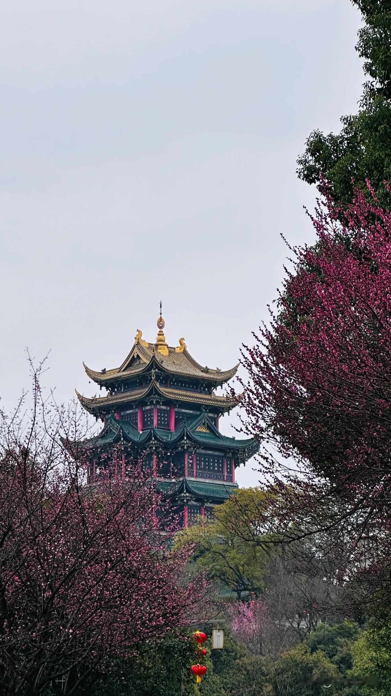 书香满座，静听风雅
鸿恩寺与书页间的时光褶皱
 
 周末的鸿恩寺山道上，游人如星