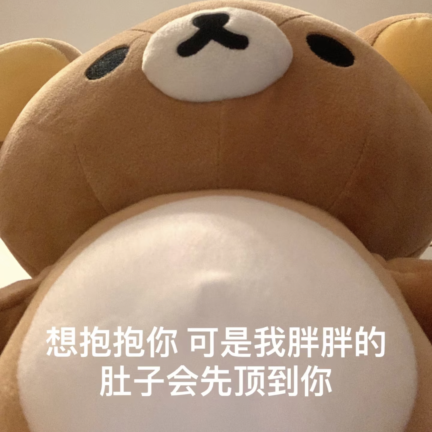 【5053】想抱抱你，可是我胖胖的肚子会先顶到你🥺 