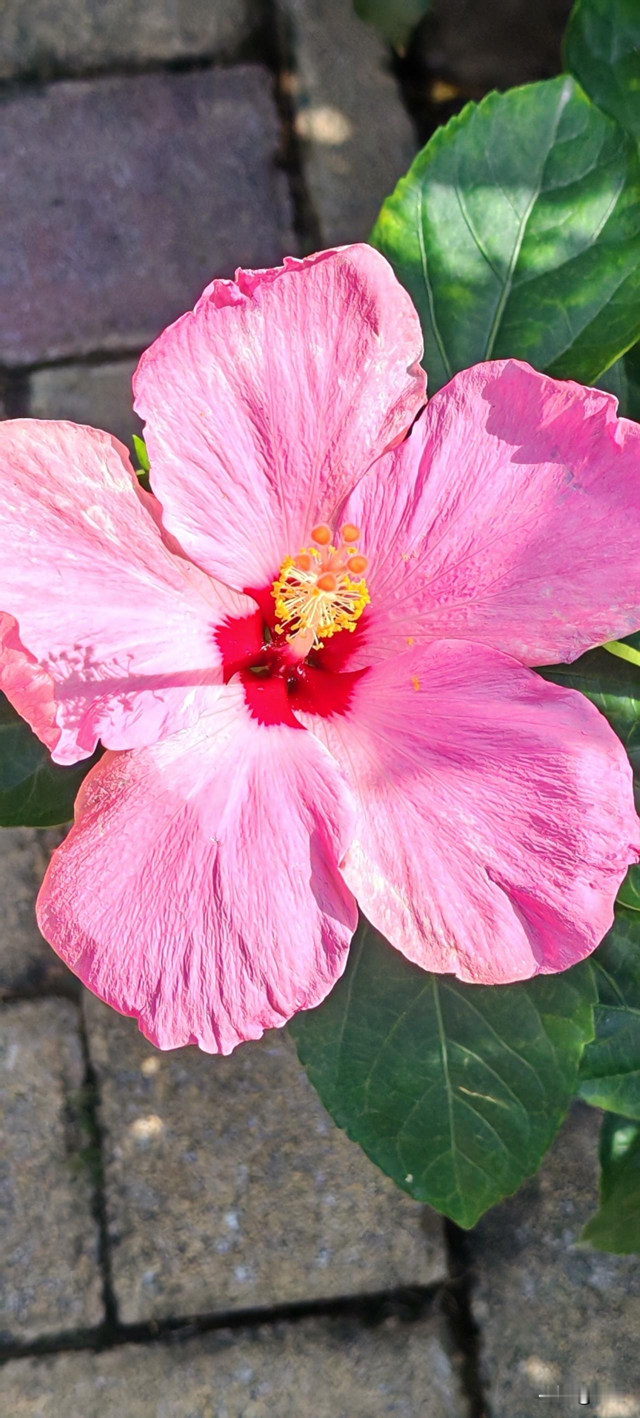 刚看到一女的征婚，41岁，离异，带一女儿。身体有些小残疾，但不影响日常生活，家务