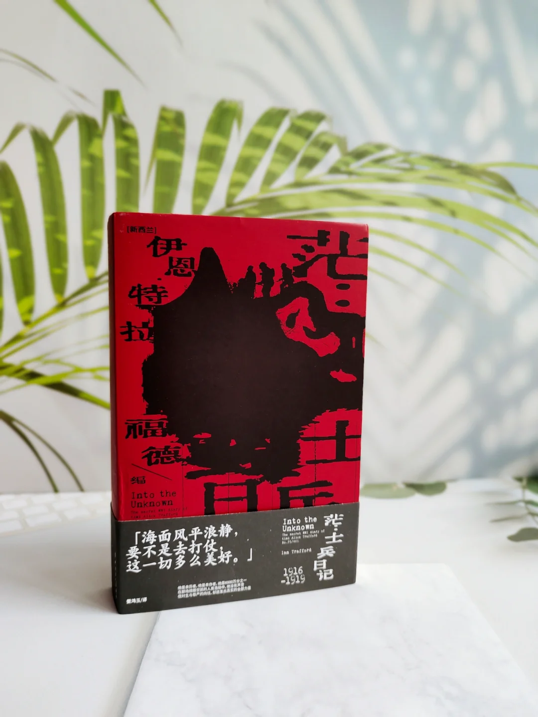 《茫·士兵日记》｜和平年代回望一战之伤！