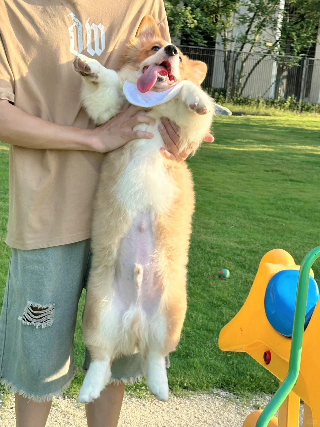 嘘