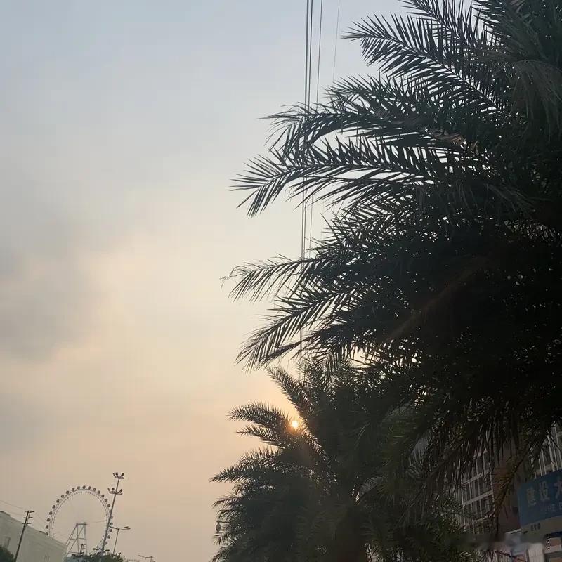 一个好的人生状态，是清醒、独立、不讨好，也不执着于圆满。
年轻时，我们总讨好他人