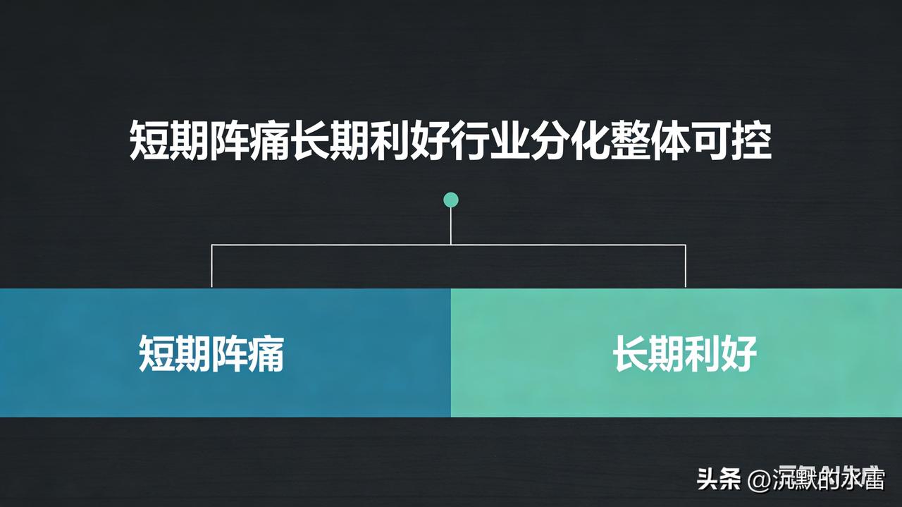 短期阵痛、长期利好；行业分化、整体可控

一、短期影响（1–3年）

• 高碳原