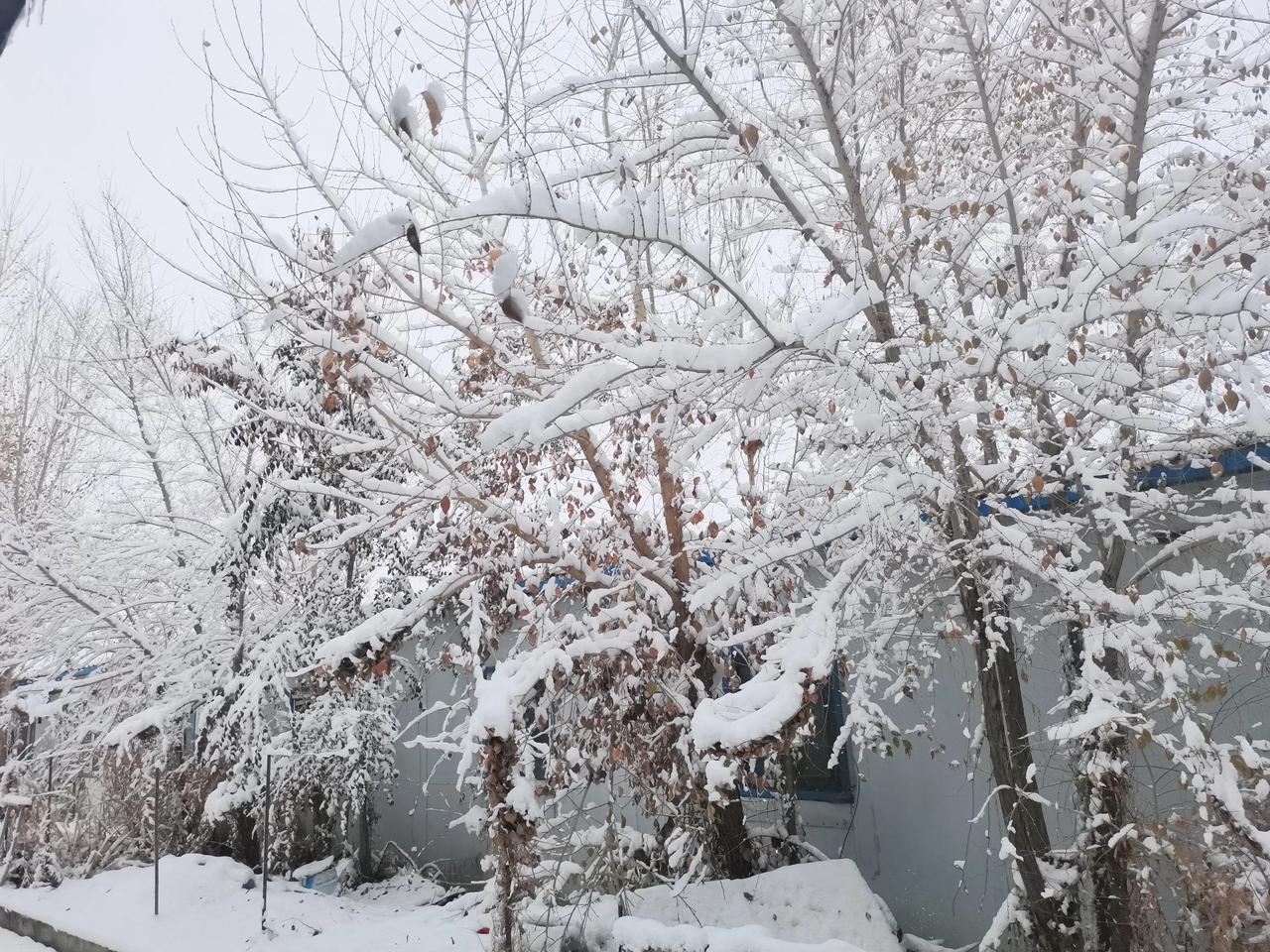 冬日生活打卡季