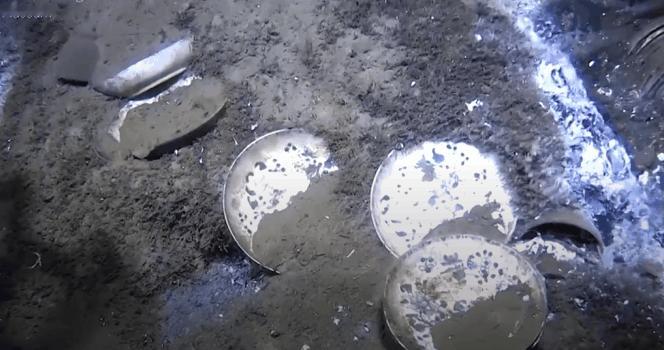 北欧深海中沉睡近三百年的中国青花瓷，是劫掠赃物还是合法贸易的铁证？

近日，挪威
