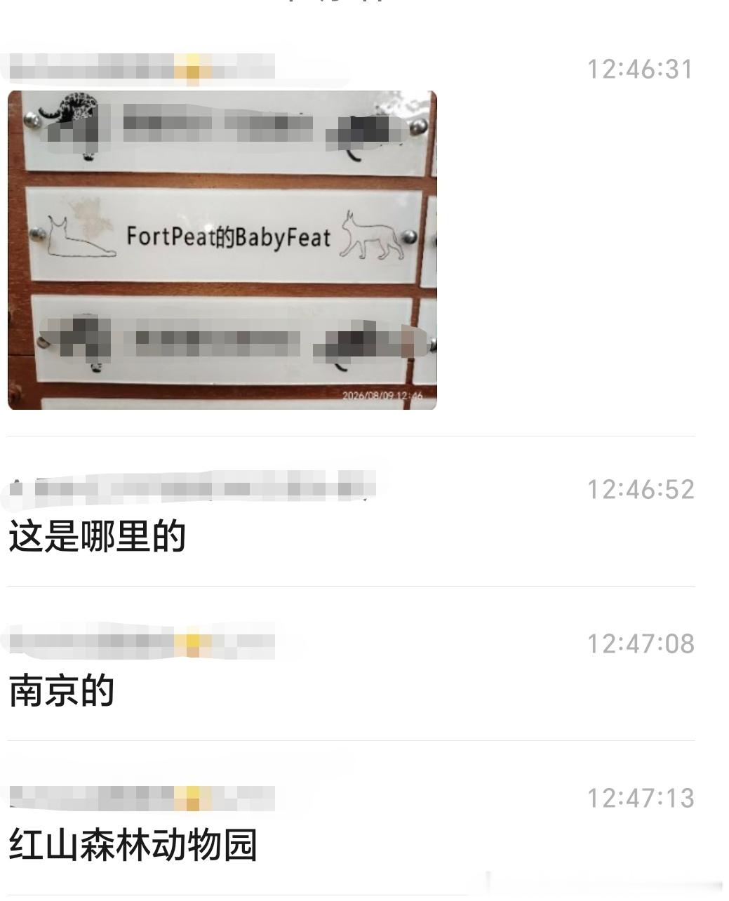 FortPeat ❤️fortpeat 💙哪个bbf投放的应援哈哈哈哈，朋友偶