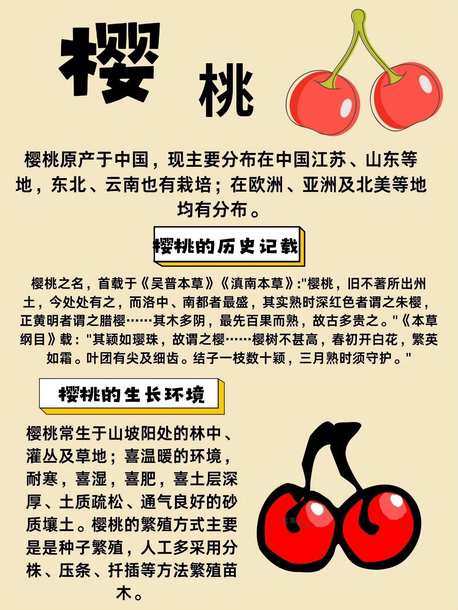 樱桃的历史与文化。古代诗人情有独钟的樱桃，和车厘子是一回事吗老己开年吃空1500