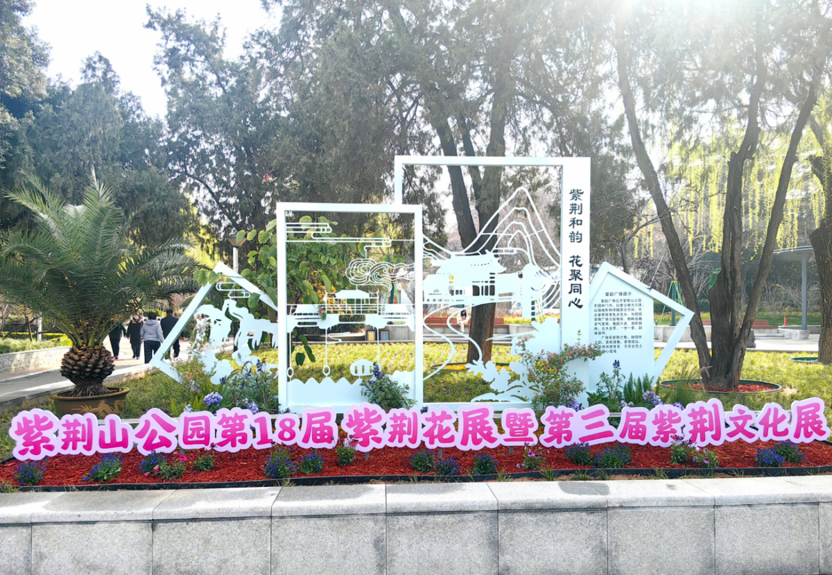 紫荆山公园第十八届紫荆花展来了！届时公园内朱顶红也将“二次花开”