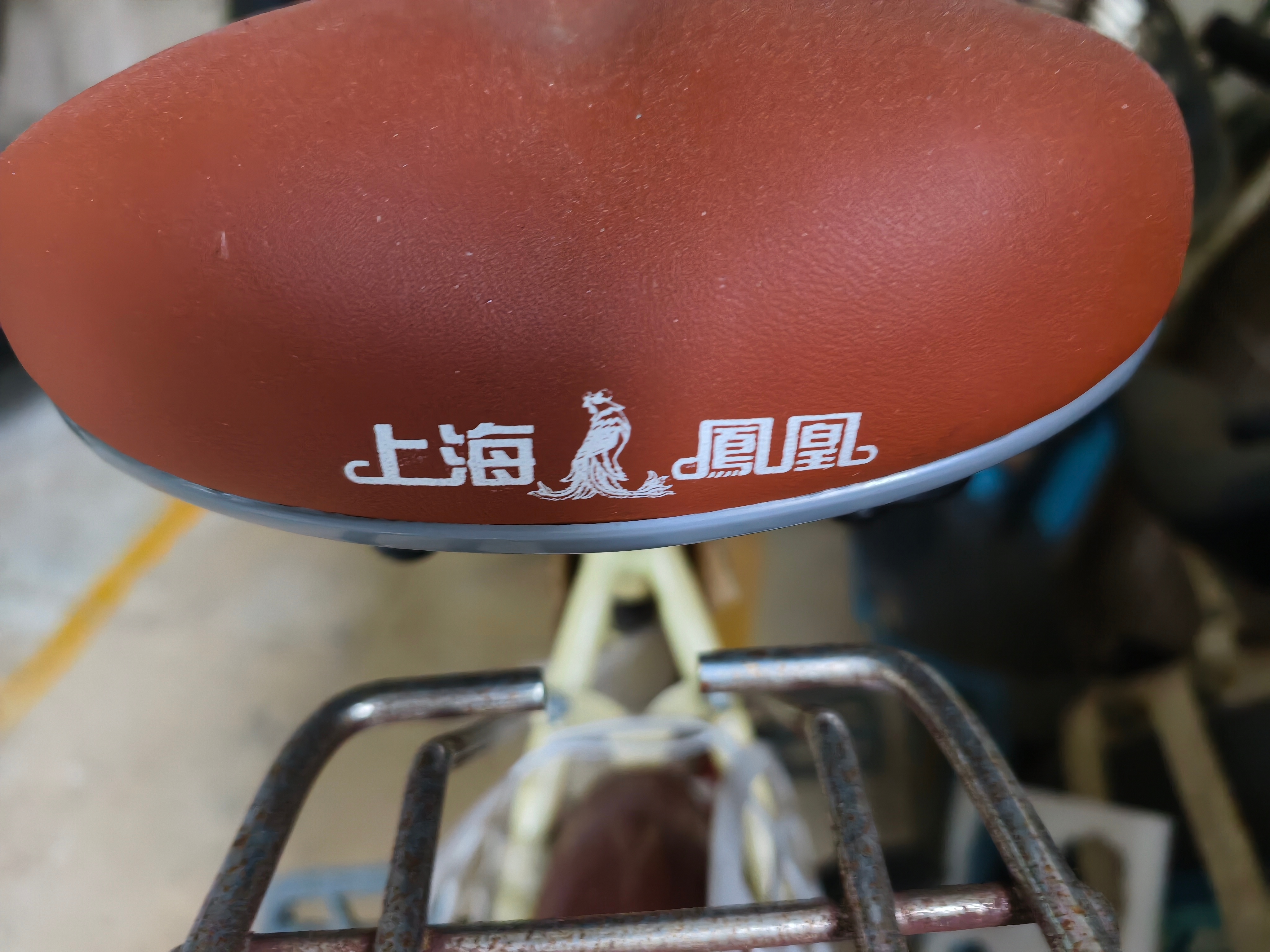 凤凰自行车，儿时的回忆手机看世界凤凰牌自行车儿时的回忆  ​​​