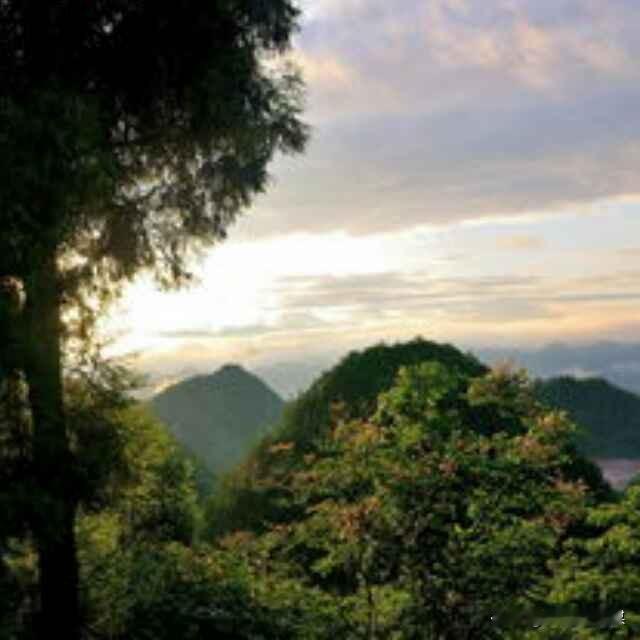 春游清泉寺
 
文/老迟
 
浪捲岸角游船摆，
穿花寻路陵山涯。
人未登临清泉寺