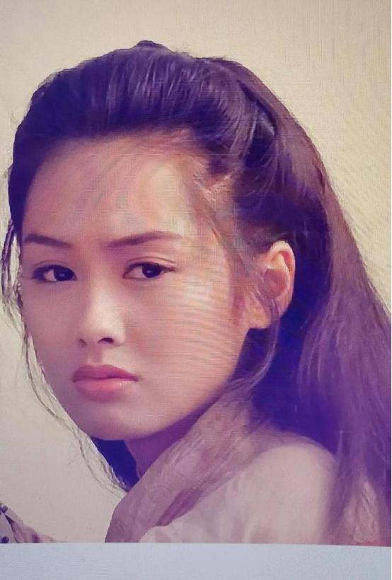 2004年，颁奖典礼上黄子华问朱茵：“你的朱是不是母猪的猪呀？”朱茵没有回复。黄