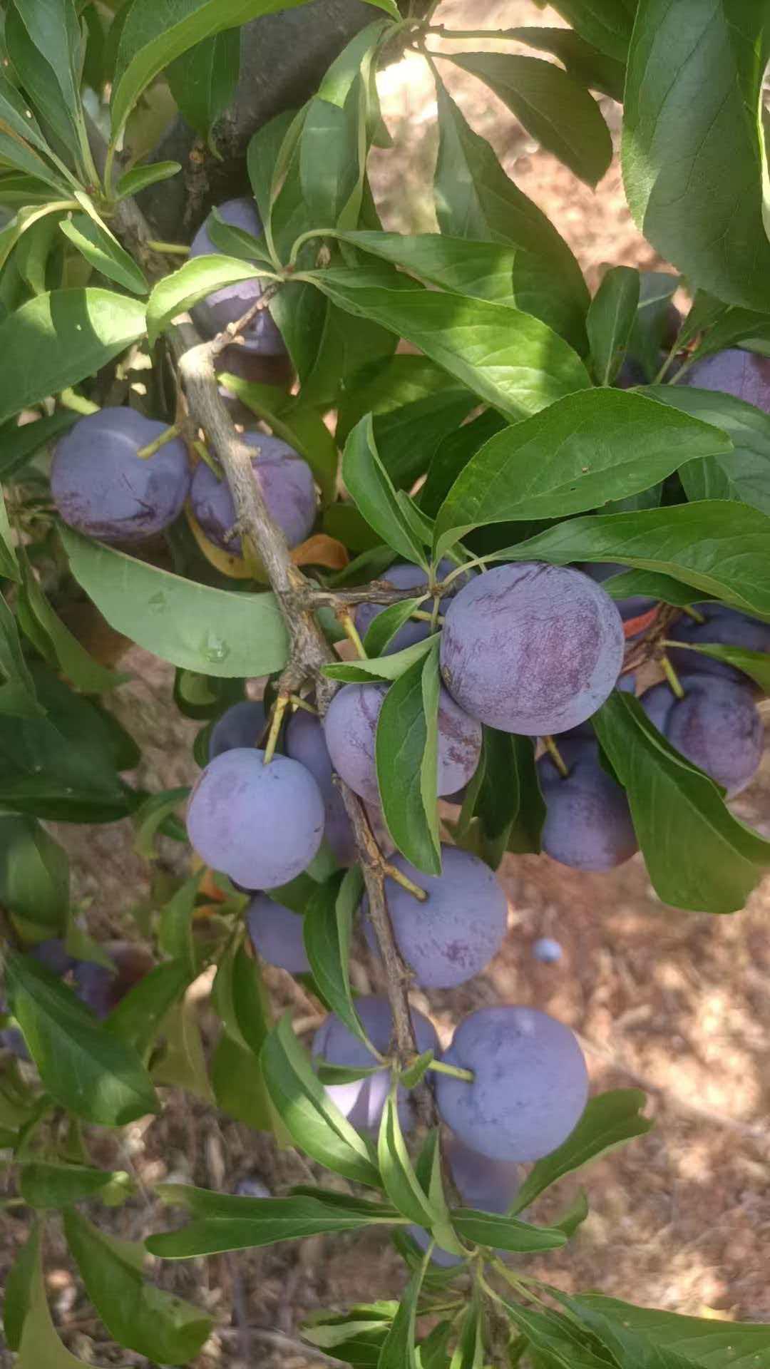 分享一下你随手拍下的照片