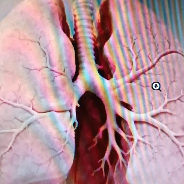 洗澡时喘不过气，很多人觉得就是热气闹的，其实可能没那么简单，也许是肺部局部信息信