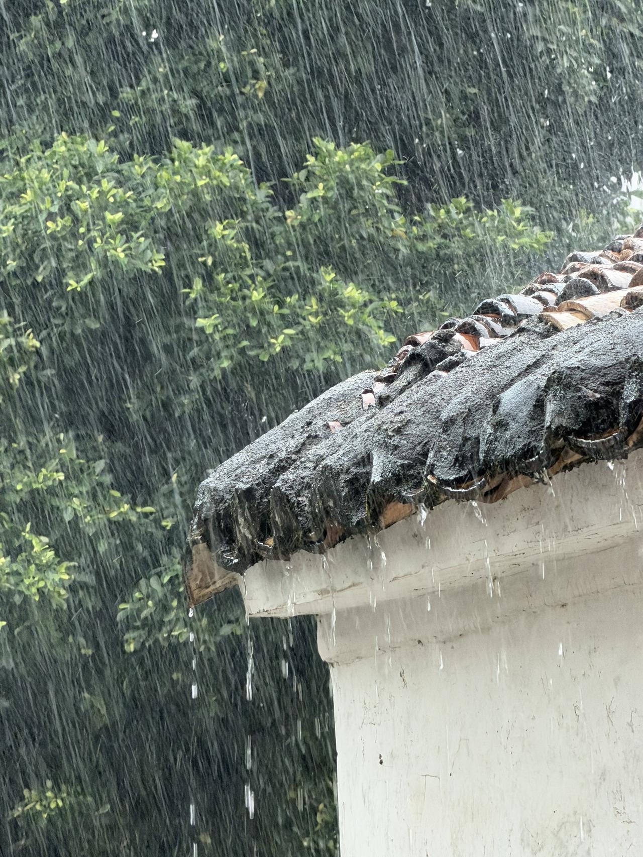 那天晚上的雨有这么大吗？