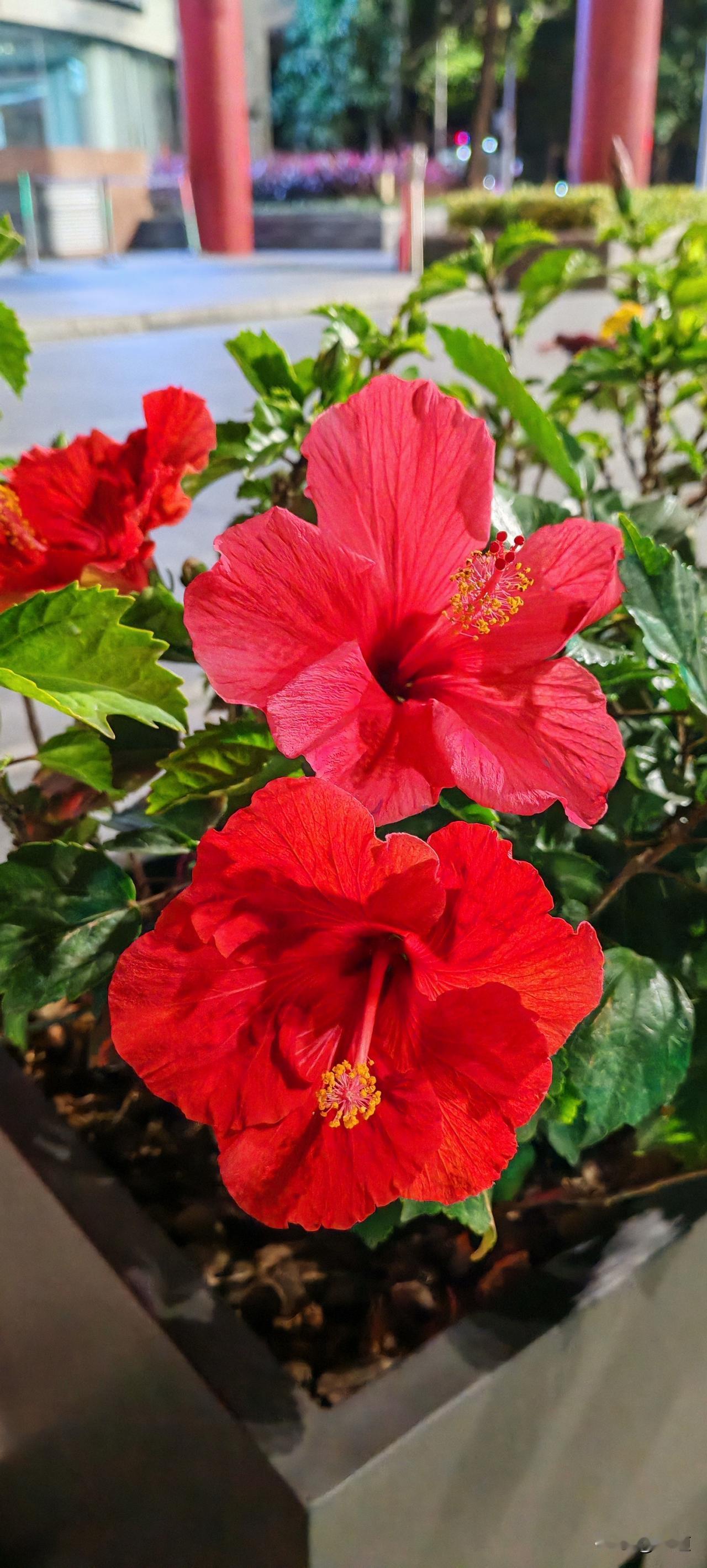 我回来了，对，半夜12点13分我跑步回来了。
晚上10点20出去的，过完马路，我