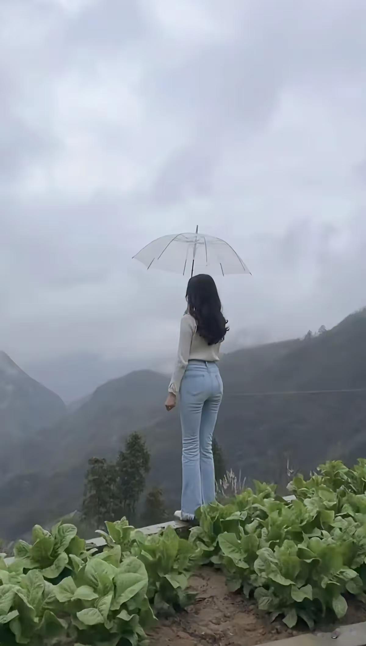 天净沙·相思
云山雾锁重重，
昔年校别西东，
一别经年遥梦。
相思无尽，
伊人久