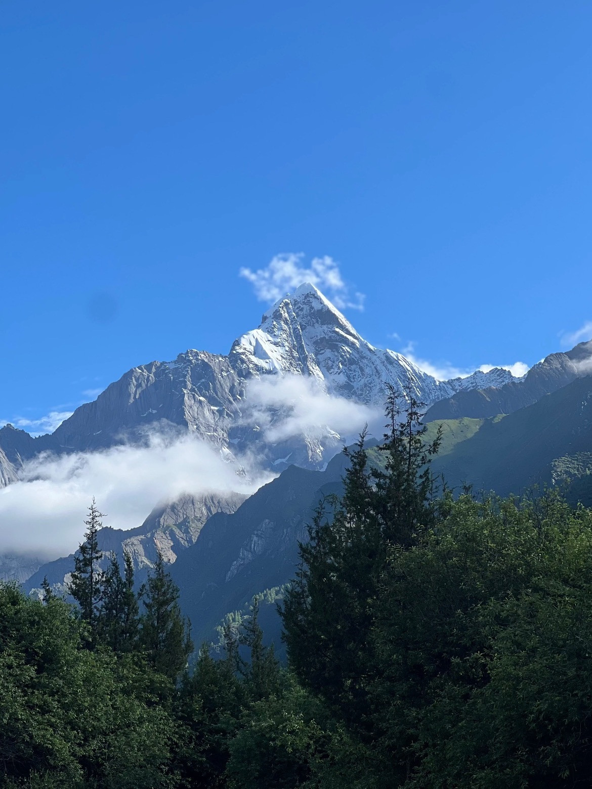 四姑娘冰淇淋雪山四姑娘山偷偷把云朵揉成了冰淇淋球，白乎乎堆在山顶。阳光舔了口，化