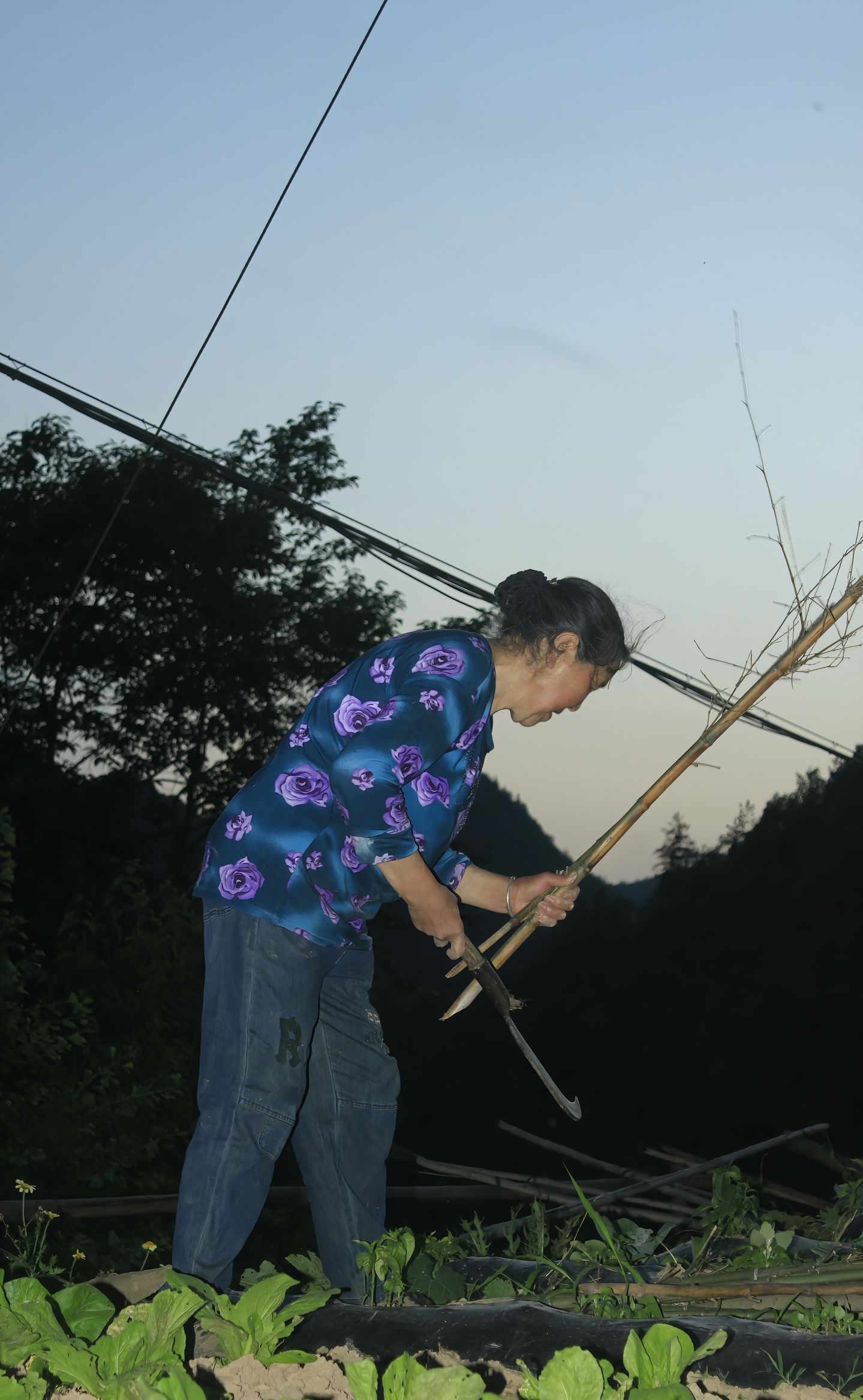 成年人回趟老家，就像看了一次心理医生。 