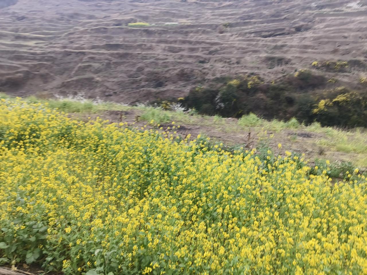 中国应把房地产产能转化为军工
投资20万亿
把工厂建在云贵川
争夺美国武器销售