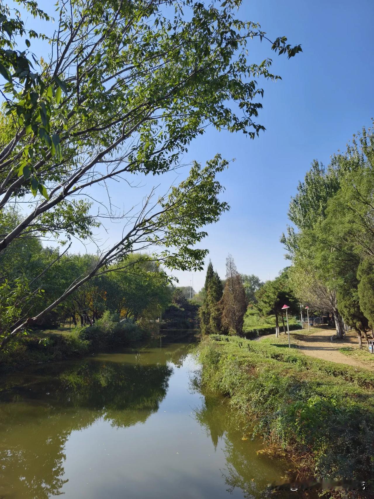 清晨的公园，绿树掩映下的荷塘，静谧而平静，就如我们的人生，放平心态，用善良的心去