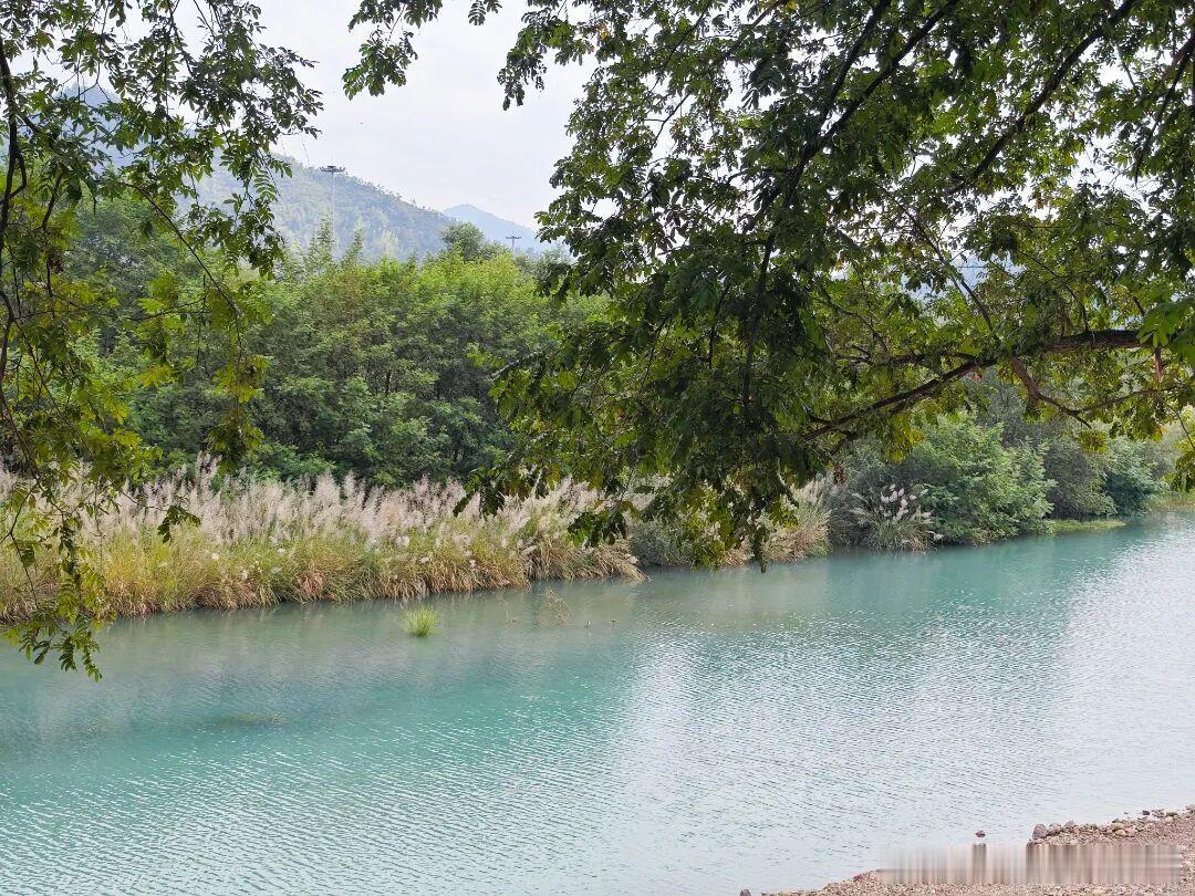 凤鸣・乐悠谷的景致，自带“治愈滤镜”。它背靠青翠山谷，面朝潺潺小安溪，毗邻凤鸣河