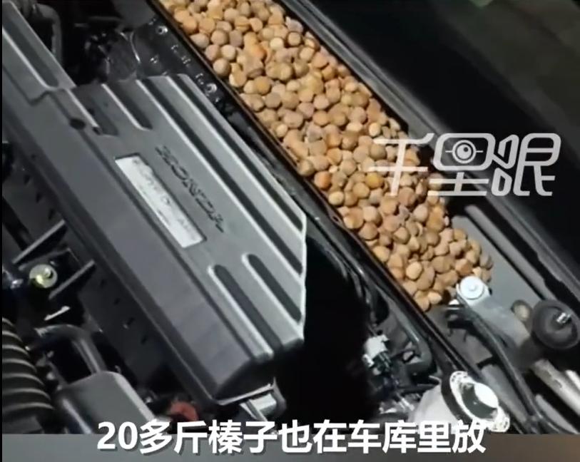 王先生发现，这车一开起来哗啦哗啦直响，打开引擎盖一看，又惊又喜。
前不久，黑龙江