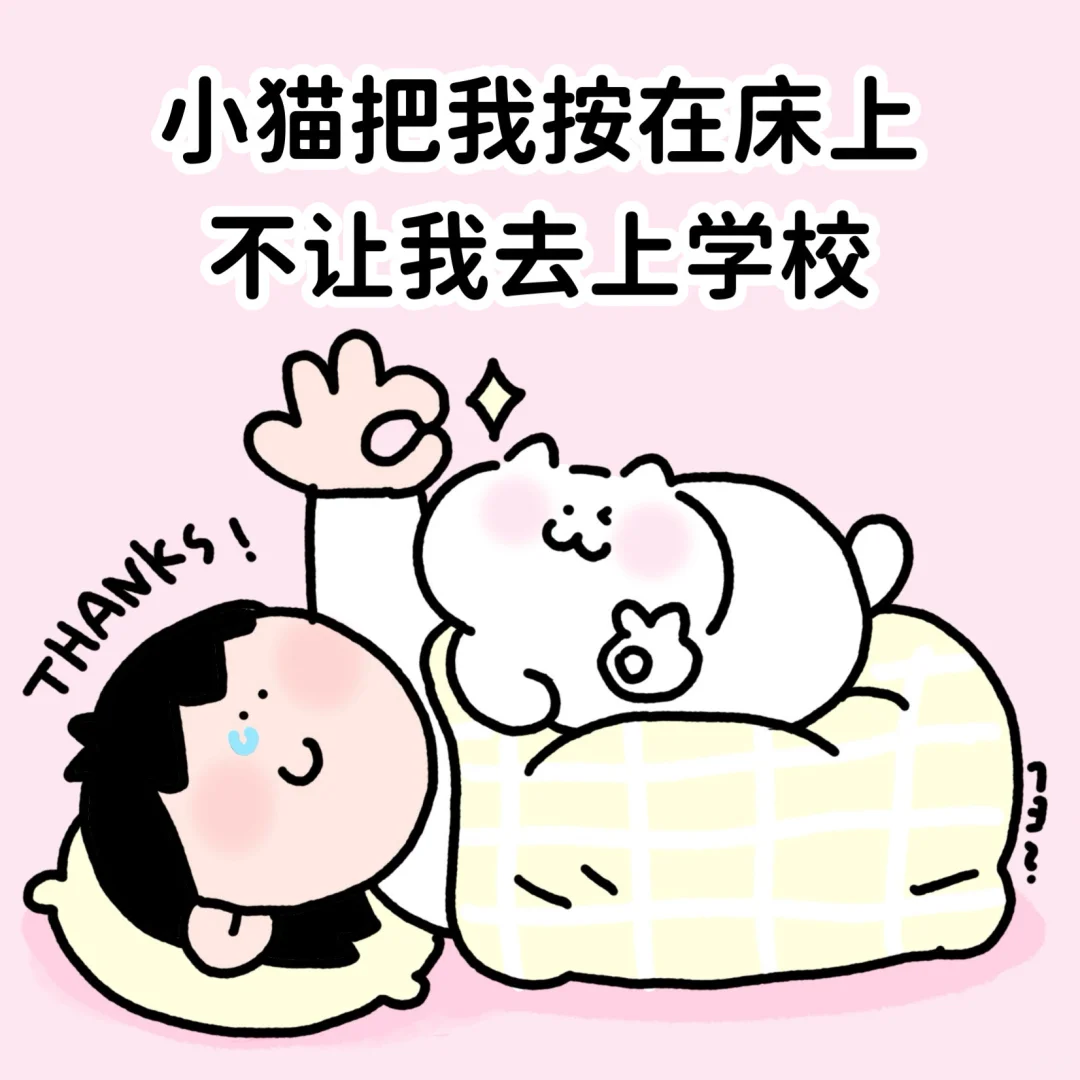 谁说这小猫坏啊？这小猫太棒了！