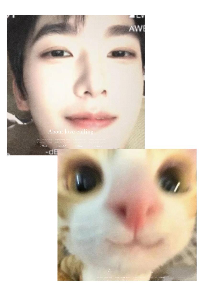 杨洋的限时日常，和小猫一mao🐈一样！