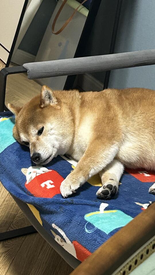 修勾能有什么烦心事呢