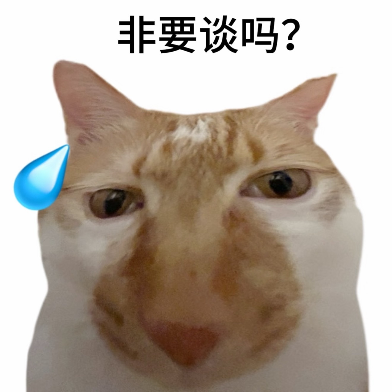 超过25岁就不适合劝分了，其实我现在都不会劝分了，因为感觉朋友如果分了还好，如果