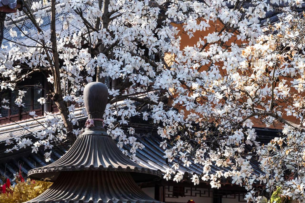 南京灵谷寺。南京灵谷寺