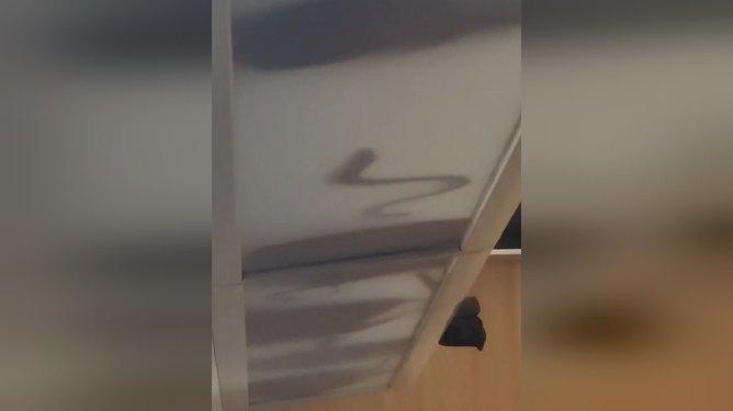 前段时间，网上一段“高铁行李架掉落蛇类生物”的视频快速发酵，瞬间勾起了无数网友的