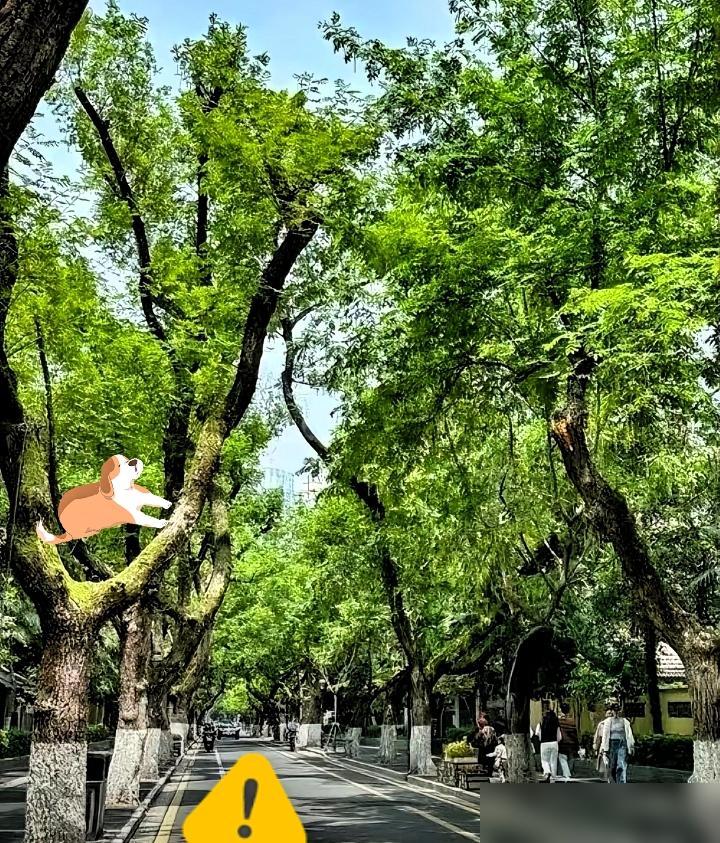高温天硬扛？你扛的是命

说真的我去年就吃过这个亏，我妈总觉得开空调费电，三十五