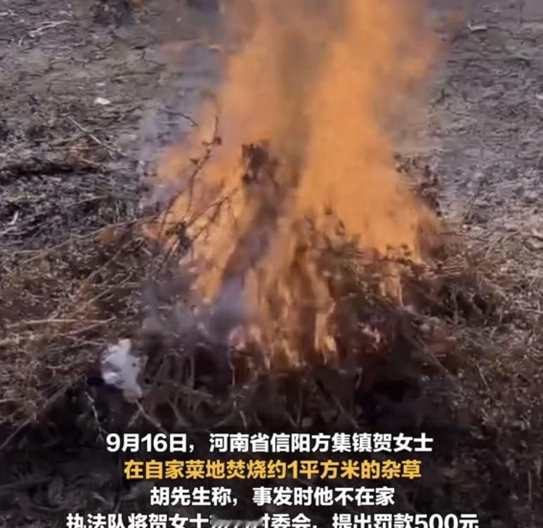 “有权任性！”河南固始，一53岁患癌女子，在自家菜地，只烧了约1平方米少量杂草，