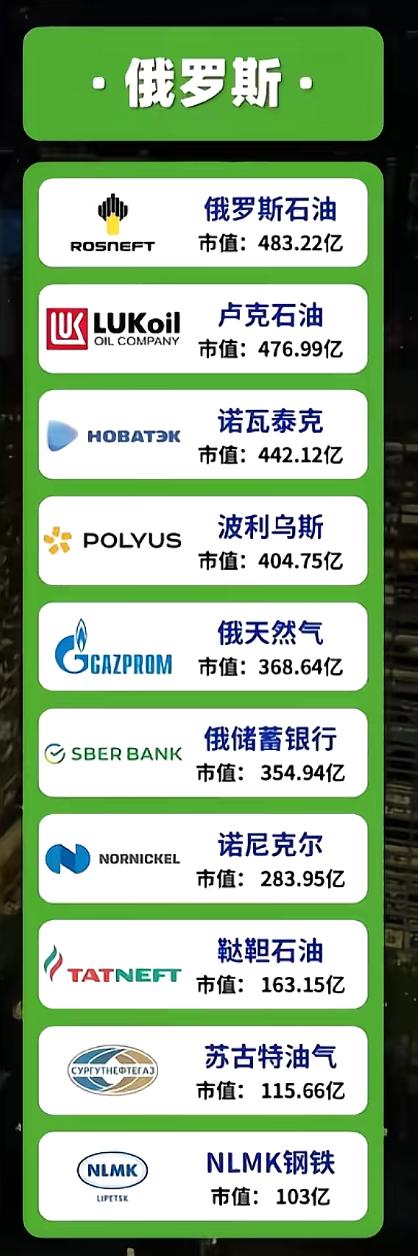 俄罗斯市值最高的十家公司，最高的市值483.22亿美元。
俄罗斯市值最高的公司是